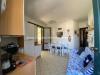 Appartamento in vendita con terrazzo a Rosignano Marittimo - la mazzanta - 05