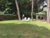 Villa in vendita con giardino a Rosignano Marittimo - la mazzanta - 03