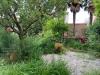 Stabile/Palazzo in vendita con giardino a Cecina - 03