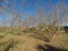 Casa indipendente in vendita a Caprarola in localit li piani - 04, Foto 4
