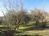 Casa indipendente in vendita a Caprarola in localit li piani - 05, Foto 5