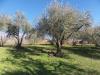 Casa indipendente in vendita a Caprarola in localit li piani - 06, Foto 6