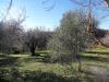 Casa indipendente in vendita a Caprarola in localit li piani - 07, Foto 7