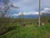 Terreno Agricolo in vendita a Gallese in localit aliano - 10, Foto 10