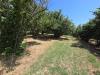 Villa in vendita con giardino a Caprarola in via della croce fidele - 10, Foto 10