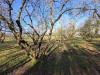 Terreno Agricolo in vendita a Ronciglione in localit campo maggiore grande - 02, Foto 2