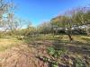 Terreno Agricolo in vendita a Ronciglione in localit campo maggiore grande - 04, Foto 4