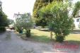 Casa indipendente in vendita con giardino a Capannori - guamo - 05