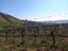 Terreno Agricolo in vendita a Monteprandone - 03, Foto 3