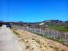 Terreno Agricolo in vendita a Monteprandone - 04, Foto 4