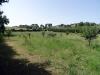 Terreno Agricolo in vendita a Ripatransone - 04, Foto 4