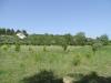 Terreno Agricolo in vendita a Ripatransone - 06, Foto 6