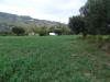 Terreno Agricolo in vendita a Monteprandone - 03, Foto 3