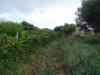 Terreno Agricolo in vendita a Monteprandone - 06, Foto 6