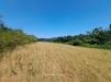 Terreno Agricolo in vendita a Oriolo Romano in oriolo romano - 04, Foto 4