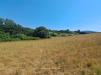 Terreno Agricolo in vendita a Oriolo Romano in oriolo romano - 05, Foto 5