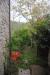 Casa indipendente in vendita a Ortignano Raggiolo in monte borgnoli - 06, Foto 6
