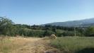 Rustico in vendita da ristrutturare a Bibbiena - 05, Foto 5