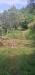 Appartamento in vendita con giardino a Ortignano Raggiolo in piazza san pietro 54 - 10, Foto 10