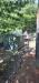Casa indipendente in vendita con giardino a Montemignaio in loc cerreto 12 - 07, Foto 7