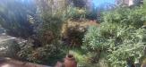 Villa in vendita con giardino a Bibbiena in via santa maria 6/b - 05, Foto 5