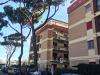 Appartamento bilocale in affitto arredato a Ciampino - 04, IMG_5830.JPG