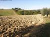 Terreno Agricolo in vendita a Monsampolo del Tronto - 07, Foto 7