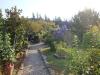 Villa in vendita con giardino a Lucca - santa maria a colle - 03