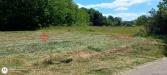 Terreno Agricolo in vendita a Ceprano - 02, WhatsApp Image 2026-06-16 at 11.01.33.jpeg