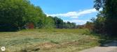 Terreno Agricolo in vendita a Ceprano - 04, WhatsApp Image 2026-06-16 at 11.01.34 (2).jpeg
