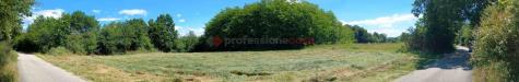 Terreno Agricolo in vendita a Ceprano - 05, WhatsApp Image 2026-06-16 at 11.01.34.jpeg