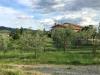 Villa in vendita con giardino a Bibbona - 05