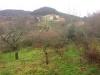 Terreno Agricolo in vendita a Rosignano Marittimo - nibbiaia - 03