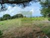 Terreno Agricolo in vendita a Livorno - castellaccio - 03