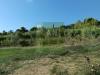 Terreno Agricolo in vendita a Livorno - limoncino - 03