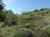 Terreno Agricolo in vendita a Livorno - limoncino - 04