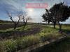 Terreno Agricolo in vendita a Canosa di Puglia in contrada pozzillo - 02, Foto 2