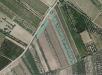 Terreno Agricolo in vendita a Canosa di Puglia in contrada pozzillo - 05, Foto 5