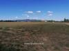 Terreno in vendita a Grosseto - 02