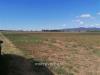 Terreno in vendita a Grosseto - 03