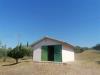 Terreno in vendita a Grosseto - 04