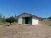 Terreno in vendita a Grosseto - 05