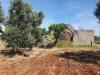 Casa indipendente in vendita a Monopoli in contrada tavarello - 05, Foto 5