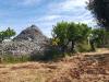 Casa indipendente in vendita a Monopoli in contrada tavarello - 06, Foto 6