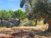 Casa indipendente in vendita a Monopoli in contrada tavarello - 09, Foto 9
