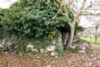 Casa indipendente in vendita da ristrutturare a Noci in c. da santa maria del soccorso - 04, Foto 4