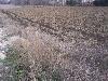 Terreno Agricolo in vendita a Brugnera - 03