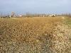 Terreno Agricolo in vendita a Sacile - 04