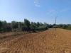 Terreno Agricolo in vendita a Grosseto - 05, 8a538e8c-6301-40ec-9981-55b6f67c6a8e.jpeg