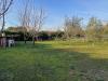 Terreno Agricolo in vendita a Grosseto - 05, 9f482585-48dd-4f00-82f4-334744fb48e6.jpeg